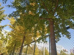 -北京信息科技大学(小营校区)