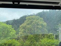 -木兰云雾山