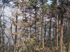 -南京金牛湖风景区