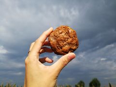 开心果迷迭香司康-面包与我Bread Or Me(长城汇店)