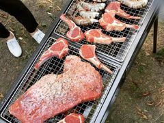 -三岔湖高家庄农家乐烤全羊柴火鸡翘壳鱼(三岔湖店)