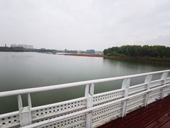 -大兴滨河森林公园