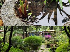 -谷咖啡·鲜花绿植花园餐厅