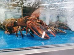 -盒马X会员店(上海森兰商都店)