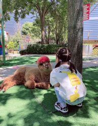 -萌宠亲子动物乐园(槐房万达店)