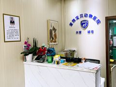 -中农大我爱我爱24h动物医院·中医针灸·猫专科·骨科医疗中心(双井店)