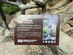 -野三坡百里峡景区