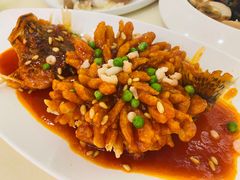 -同济大酒店(绿宝广场店)