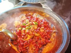 -探鱼·鲜青椒爽麻烤鱼(广州欣荣广场店)