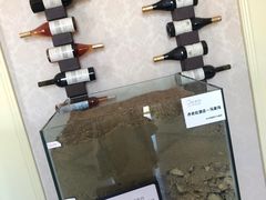 -丹世红酒庄·烧烤·团建·婚礼·水上运动