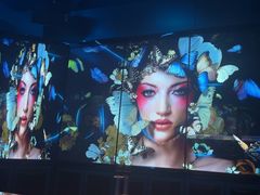 -萧邦音乐会所KTV(向西店)
