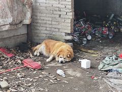 -大地农庄(逢沙大道店)