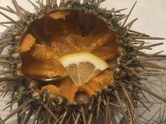 -渔公码头·九龙湾国际饭店