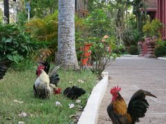 -柬埔寨国家博物馆