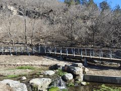 -白水寺森林公园
