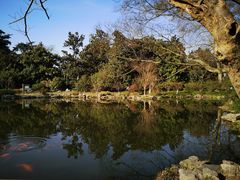 -西湖外事游船(花港观鱼码头)