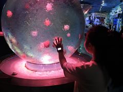 -西安曲江海洋极地公园