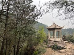 -树山生态村