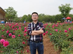 -扬州芍药园(仪征市)