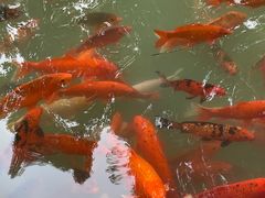 -兰溪地下长河
