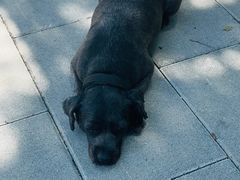 -郑阿姨的家·이모네·韩料&烤肉(武川路店)