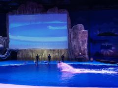 -华夏文旅海洋公园