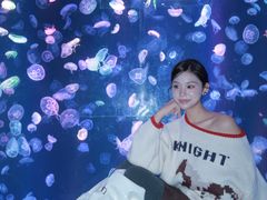 -海合安成都极地海洋公园