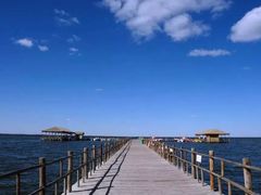 -乌梁素海景区