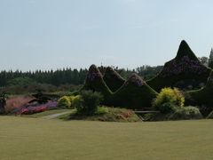 -东平国家森林公园