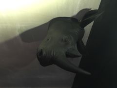 iphone_upload_pic-秃鹫湾·推理大师沉浸式实景演绎推理剧场
