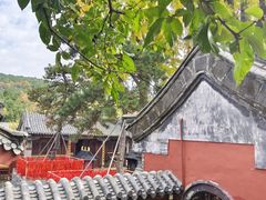 -泰山风景名胜区-普照寺