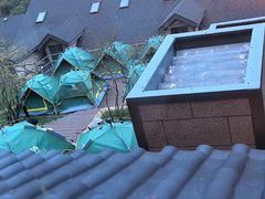 -黄山排云型旅酒店餐厅