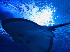 -多彩贵州城极地海洋世界