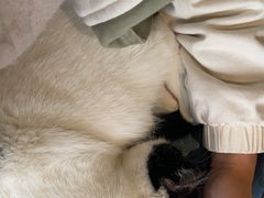 -么么咖啡(燕郊店)