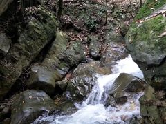 -浙江自然博物院(杭州馆)