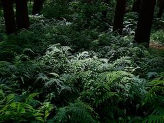 -同里国家湿地公园