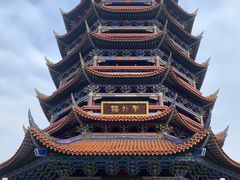 -铁山坪森林公园