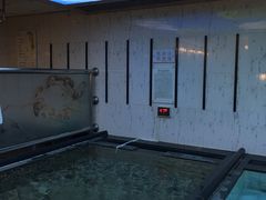 泡池-新大宗饭店