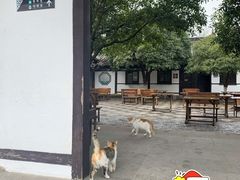 -常熟方塔园