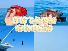 -日照海滨国家森林公园