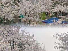 -南京城墙景区