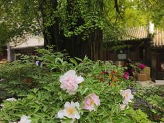 -潭柘寺景区