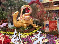 -越秀西湖花市(广州城市广场花卉店)