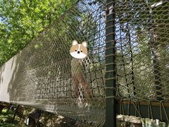 -幽岚山·童话森林