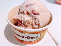 -哈根达斯(陆家浜路店)