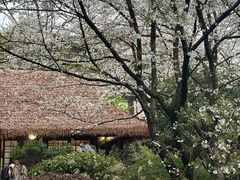 -中国茶叶博物馆(双峰馆区)