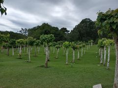 -三亚南山文化旅游区