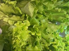 -韩宫宴烤肉·料理(苏州中心店)