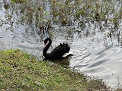 -福建鲤鱼洲酒店