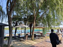 -泗洪洪泽湖湿地景区